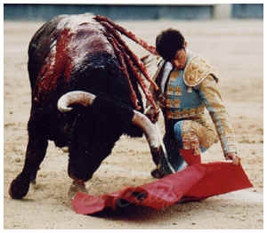 2000_09.jpg