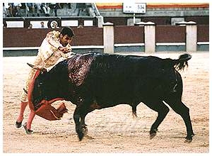 a1996_05.jpg
