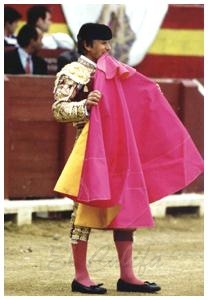 alternativa10.jpg