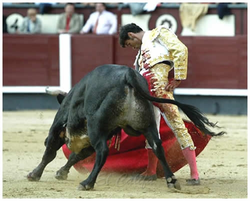 derechazo2.jpg